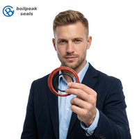 BoilPeak PTFE-Verkapselte FKM-Silikon-O-Ring-Dichtungen - Für Automobil- und Luftfahrtanwendungen in Standardgrößen
