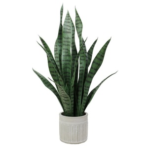 Plantas artificiales <span class=keywords><strong>de</strong></span> Aloe <span class=keywords><strong>Vera</strong></span> para decoración interior, recién llegadas, naturales, <span class=keywords><strong>de</strong></span> fábrica - Product Image 4