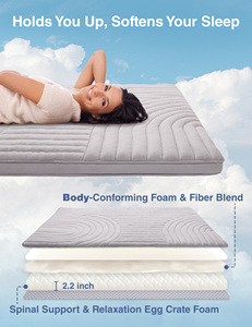 Wholesale Japanese Floor Mattress Futon Mattress Queen Size Thicken Roll up Tatami Mat Topper Foldable Floor <b>Bed</b> Mattress - Product Image 2
