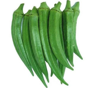 Okra (Lady Finger) de qualité assurée, fraîche et naturelle, destinée aux exportateurs indiens pour la consommation humaine. - Product Image 2