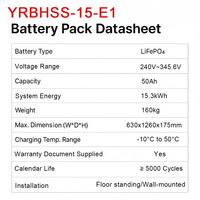 Batterie solaire LiFePO4 haute capacité SunPlus YRBHSS-15-E1 15,3 kWh, protection IP65, 5000 cycles, montage au sol/mural