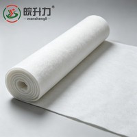 WSL Promotion Exceptionnelle : Géotextile en Fibres Courtes de Polypropylène (PP) à Prix Usine pour la Prévention des Inondations Fluviales