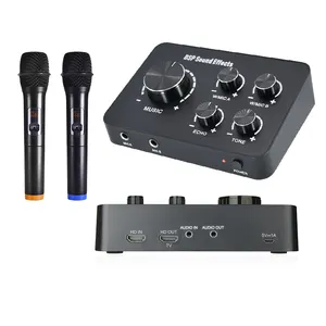 DSP effetto suono eco tono di controllo Karaoke Mixer palmare Wireless microfono digitale Mixer Audio per amplificatore musica festa di casa