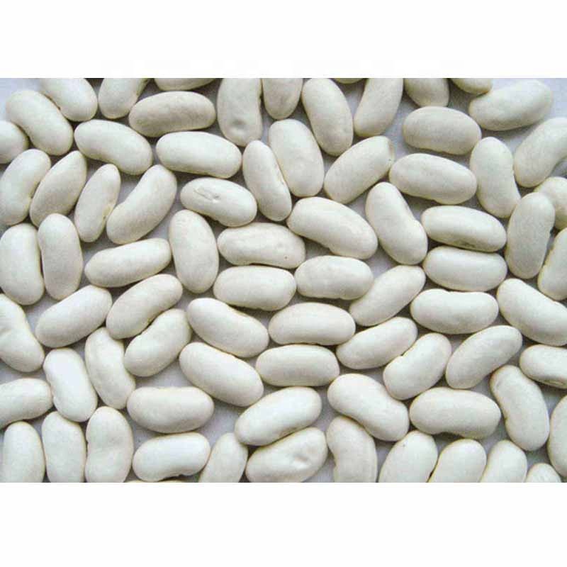 TTN bulk все виды фасоли, эфиопская красная фасоль для продажи