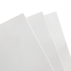 High Quality Single PE Coated Paper Cupstock Cup <b>Material</b> for Hot Coffee Cups - Product Image 3