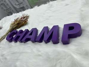 تصميم جديد مخصص شعار ثلاثي الأبعاد للإعلانات المعدنية بإضاءة خلفية علامة للأعمال في الهواء الطلق - Product Image 4