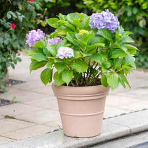 Maceta decorativa para jardín al aire libre moldeada por soplado de 18 pulgadas de Milán, maceta de plástico de arcilla de imitación para uso en el suelo del hogar, tipo de paquete - Product Image 3