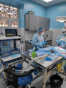 جهاز تخدير للكلاب مع جهاز تهوية-دعم OEM مبني على الحيوان - Product Image 6