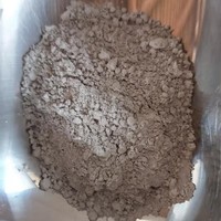 Vente directe d'usine 99.99% poudre de métal argenté de chine nanoparticules d'argent poudre d50 99.9% poudre d'argent