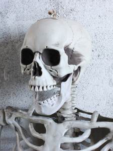 Esqueleto de Calavera Colgante para Halloween, Decoración de Casa Embrujada, Cuerpo Humano, Sala Secreta, Momia, Accesorios Divertidos para Escenas - Product Image 4