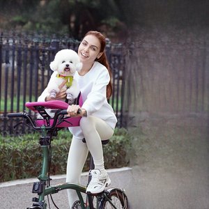Asiento <span class=keywords><strong>de</strong></span> Seguridad para Perros, Canasta Delantera para Bicicletas <span class=keywords><strong>de</strong></span> Montaña y Carretera, Accesorios para <span class=keywords><strong>Mascotas</strong></span> - Product Image 2