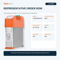 Condensador Inteligente Desintonizado, 14% de Reactancia, 450V, 30kvar, Supresión de Armónicos para Corrección Automática del Factor de Potencia