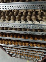 Groothandel 7HP Warmtepomp Fruit Groente Koffieboon Droogkamer 400KG Capaciteit PLC Gecontroleerde Intelligente Zeevruchten Droogruimte
