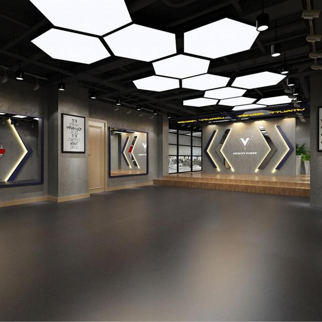 Hollow Style Hexagon Shape Pendant Led Luminaire Light for Projects for Work Shop Office