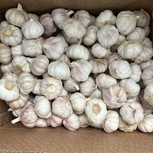 Vente en gros d'<span class=keywords><strong>ail</strong></span> frais de Chine, nouvelle récolte, exportation au Burkina Faso, 5,0 cm - Product Image 4