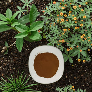 Acides fulviques écologiques Hormones végétales auxines en poudre Pureté 100% pour les fruits - Product Image 6