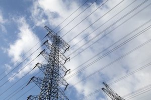 तांबे के नंगे केबल तार 2/<span class=keywords><strong>3</strong></span> कोर 12/<span class=keywords><strong>3</strong></span>/14/2 <span class=keywords><strong>3</strong></span>*<span class=keywords><strong>3</strong></span>.5m2 फंसे pvc रोह औद्योगिक उपयोग के लिए अनुपालन - Product Image 3