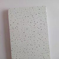 Plaques de plafond ignifuges