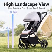 Poussette pliable confortable pour bébé et tout-petit, idéale pour les longues promenades et les sorties au musée ou au zoo