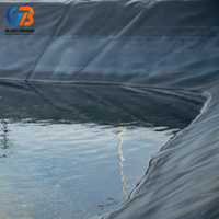 Bâche en PEHD pour bassin piscicole, géomembrane 1,5 mm, imperméable, écologique et durable pour fermes piscicoles, barrages et décharges.