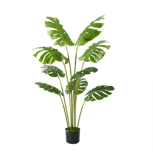 Simular plantas con respaldo de tortuga árbol plantas en maceta ornamento Sham Tree Strelitziaceae <span class=keywords><strong>Chrysalidocarpus</strong></span> <span class=keywords><strong>Lutescens</strong></span> fábrica al por mayor - Product Image 6