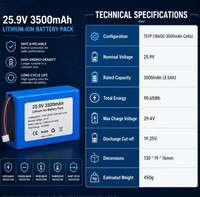 Paket Baterai Lithium Ion 25.9V 3500mAh 7S yang Dapat Diisi Ulang dengan BMS yang Dapat Disesuaikan untuk Perangkat Elektronik Portabel.