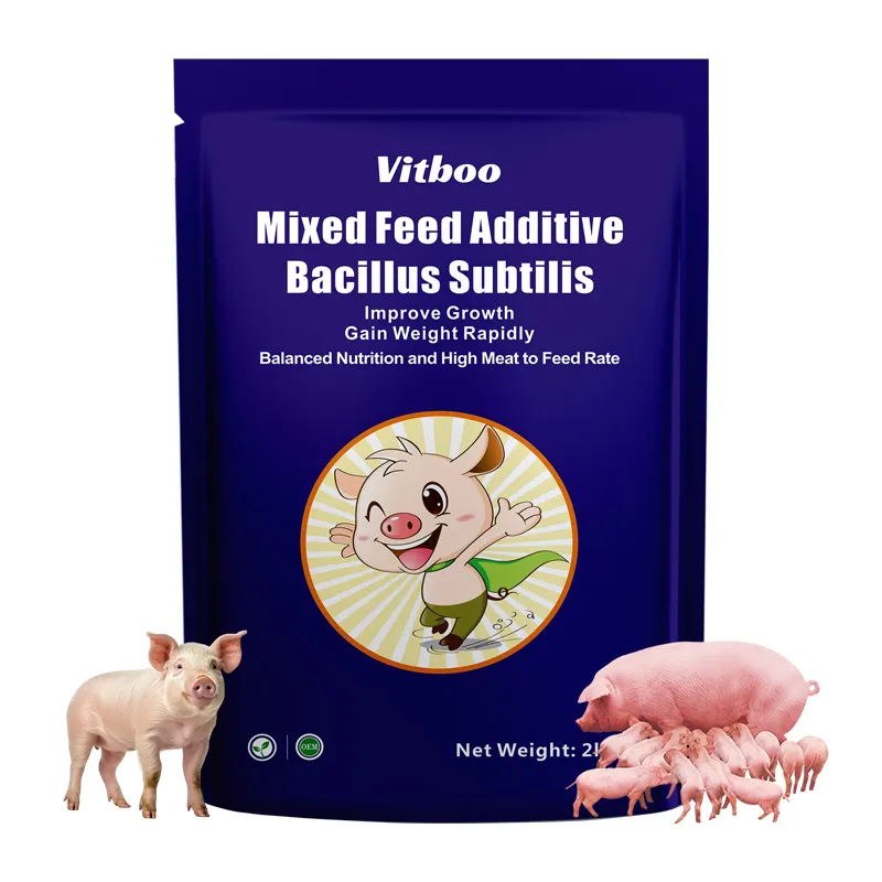 रोग रोकथाम सुअर फ़ीड एडिटिव प्रीमिक्स फ़ैक्टरी सुअर उगाने वाला बूस्टर अधिक मांस वृद्धि को बढ़ावा देता है
