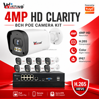 Wistino 4MP PoE IP-Kamera für Museum und Galerie Sicherheit mit Audioaufnahme Nachtsicht bis zu 30M und IR-LED-Nachtsicht