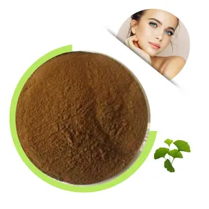 Fornitura di estratto di Ginkgo Biloba naturale al 100% in polvere flavonoidi totali 24%, ginkgolide 6% CP2015