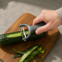 Éplucheur de cuisine en acier inoxydable avec poignée en PP, promotion à prix réduit