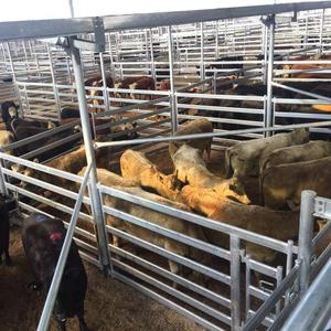 Bán Hot USA 12ft dài ngựa tấm Heavy Duty mạ kẽm chăn nuôi gia súc Bảng điều chỉnh sử dụng cừu corral sân tấm - Product Image 5