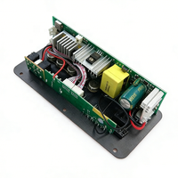 300W BT 5.0 carte amplificateur Audio D300 double Microphone Subwoofer Module amplificateur DC12V 24V 1CH HIFI amplificateur de puissance stéréo