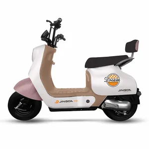 Top vendita bici elettrica con pneumatici grassi vari colori grande capacità cesto di simulazione in pelle sella abbastanza motore bici elettrica