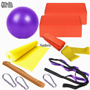 Ensemble de yoga Wang Jiahua 11 pièces violet : ballon d'exercice, blocs, tapis, sangle, bande de résistance, crochets pour le yoga et l'entraînement physique - Product Image 4