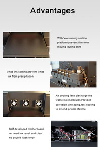 Stampante UV Inkjet DTF Flatbed Winner A3 con testina di stampa XP600 per portachiavi, palline da golf, custodie per telefoni, badge, vetro, penne - Product Image 5