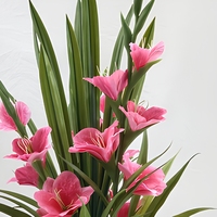 Fleurs de gladiolus artificielles à toucher réel, échantillon gratuit, prix compétitifs, faible MOQ, pour Noël, mariage, intérieur - Vente en gros