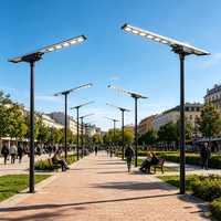 Lampadaire solaire tout-en-un à haut lumen avec contrôleur MPPT intégré pour projets routiers gouvernementaux