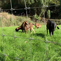 Clôture de champ à nœuds fixes galvanisée robuste, hauteur 2,0 m, maille personnalisée, protection contre les cerfs, sécurité pour forêts et ranchs, vente en gros