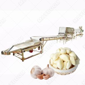 Mesin pembuat granul bawang putih kering biaya pabrik pengolahan butiran bawang putih tanaman - Product Image 3