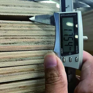 模板杨木lvl胶合板100% 当地相思硬木制成，用于托盘和床板