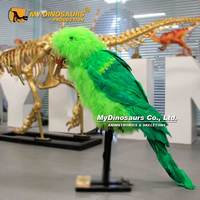 Mijn Dino XJ307 Restaurant Decor Animatronic Dier Vogels Papegaai Voor Verkoop