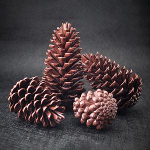 Vente en gros <span class=keywords><strong>de</strong></span> faux pendentifs en plastique pour arbre <span class=keywords><strong>de</strong></span> Noël en forme <span class=keywords><strong>de</strong></span> cône <span class=keywords><strong>de</strong></span> <span class=keywords><strong>pin</strong></span> réaliste pour décorations <span class=keywords><strong>de</strong></span> luxe pour la maison - Product Image 3