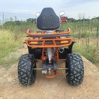 Buggy de plage 200cc 2WD à quatre roues Big Wolf ATV, alimenté au carburant, tout-terrain, neige et hors route, nouvelle arrivée