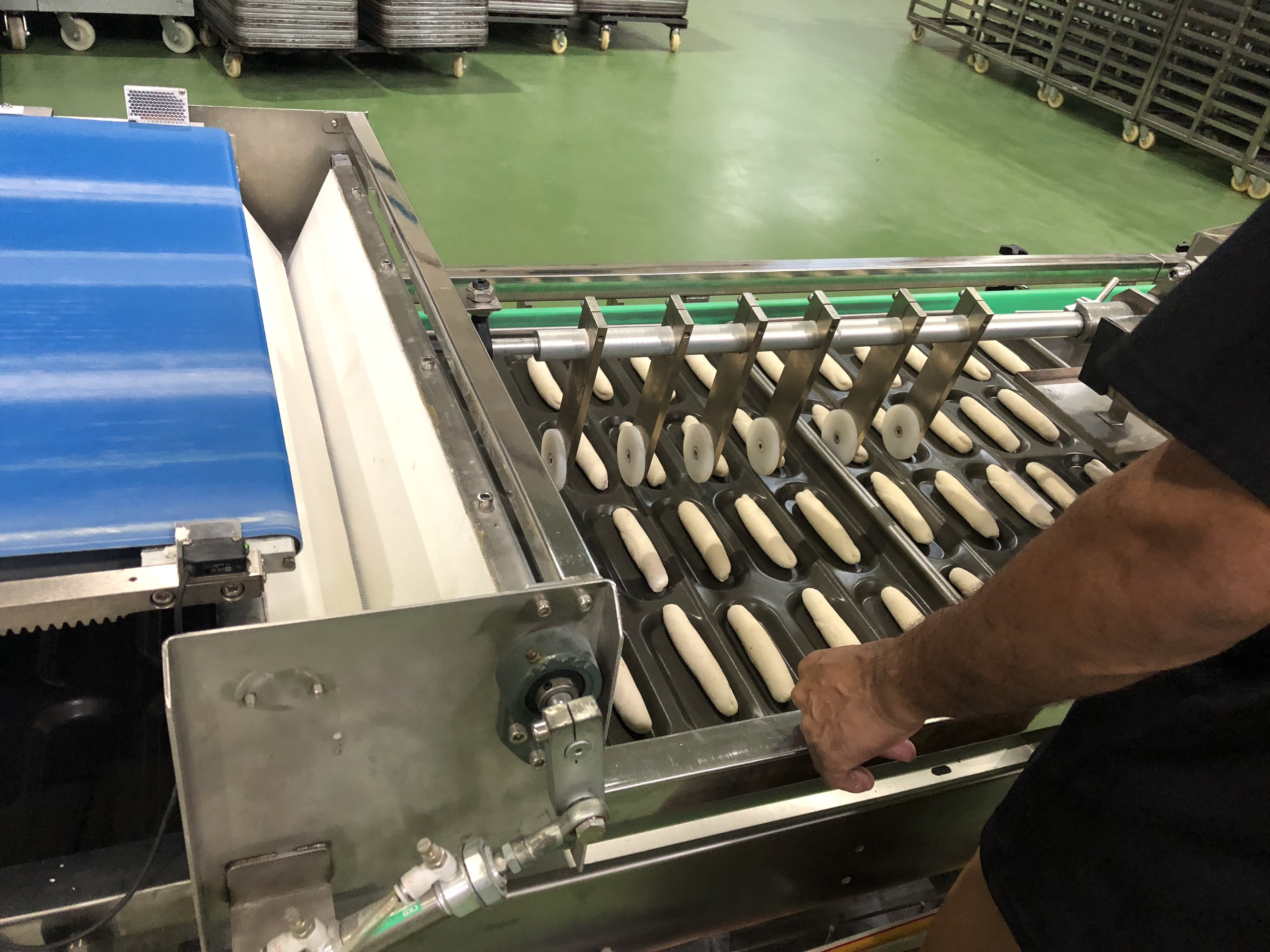 hot dog bun production line