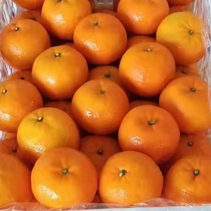 Prezzo Arance Mandarino Fresche di Grande Successo - Product Image 4