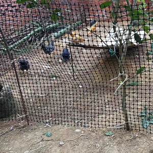 <span class=keywords><strong>PP</strong></span> Nhựa Lưới Cho Động Vật/Chăn Nuôi/Lồng Cá - Product Image 3