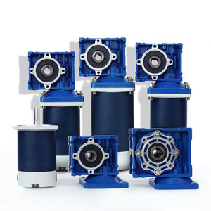 NMRV 12V <strong>24V</strong> <strong>Dc</strong> <strong>Motor</strong> Worm Gearbox Nmrv40 Rv30 <strong>24v</strong> <strong>Dc</strong> Brush <strong>Motor</strong> with Worm Reduction Gearbox - Product Image 5
