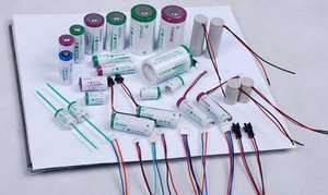 ER34615 D размер литиевые батареи 3,6 В высокой емкости батареи 19000 мАч - Product Image 6