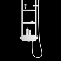 Ensemble de douche moderne de luxe avec panneau de douche et étagère de rangement