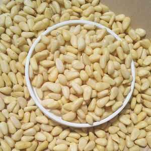 Noix de pin bio en gros de Sibérie – Snack sain et croustillant, vente en vrac - Product Image 4